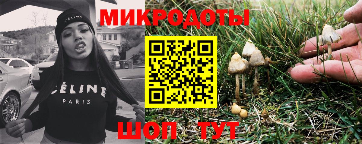 Луховицы  цены   Псилоцибиновые грибы прущие грибы  Вход с VPN  Галлюциногенные грибы Cubensis 
