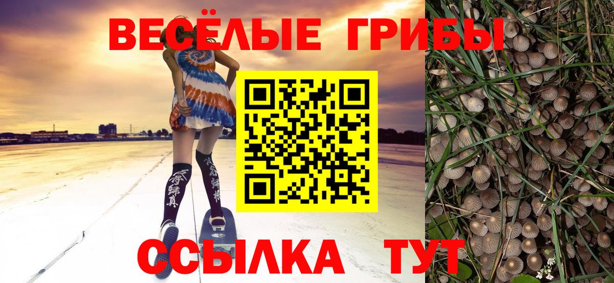 Псилоцибиновые грибы прущие грибы Луховицы